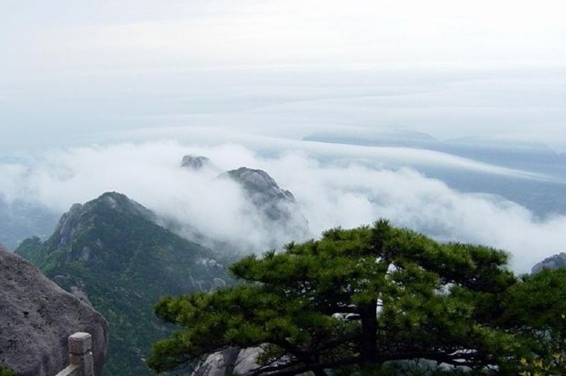 云都團隊2014年4月參與薄刀鋒專題