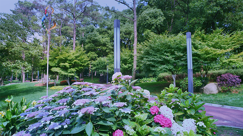 武漢航拍東湖綠道湖山道