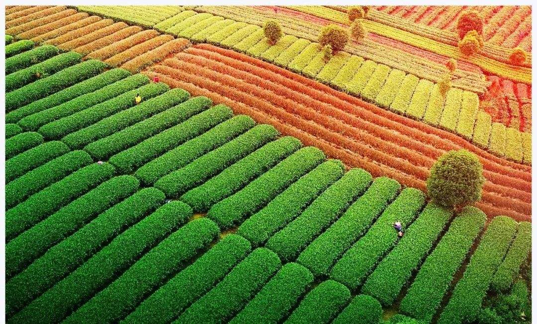 怎樣選擇武漢航拍